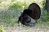 DSC_0058.jpgb.jpg