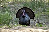 DSC_0059.jpgb.jpg