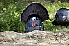DSC_0062.jpgb.jpg