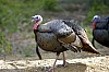 DSC_0064.jpgb.jpg