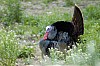 DSC_0065.jpgb.jpg