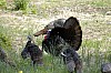 DSC_0066.jpgb.jpg