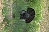 DSC_0068.jpg