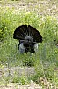 DSC_0068.jpgb.jpg