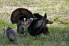 DSC_0069.jpgb.jpg