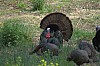 DSC_0070.jpg