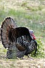 DSC_0072.jpgb.jpg