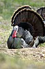 DSC_0073.jpgb.jpg