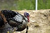 DSC_0075.jpgb.jpg