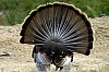 DSC_0076.jpgb.jpg