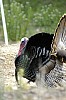 DSC_0078.jpgb.jpg