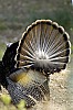 DSC_0080.jpgb.jpg