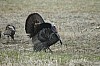 DSC_0083.jpg