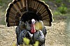 DSC_0083.jpgb.jpg
