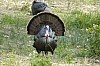 DSC_0085.jpgb.jpg