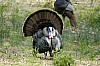 DSC_0086.jpgb.jpg