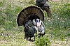 DSC_0087.jpgb.jpg