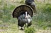 DSC_0088.jpgb.jpg