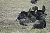 DSC_0089.jpg