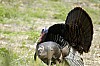 DSC_0089.jpgb.jpg