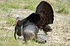 DSC_0091.jpgb.jpg