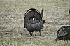 DSC_0095.jpg