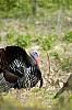 DSC_0095.jpgb.jpg