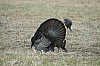 DSC_0096.jpg