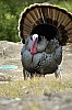 DSC_0097.jpgb.jpg