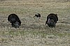 DSC_0099.jpg