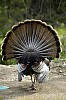 DSC_0100.jpgb.jpg