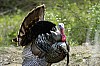 DSC_0102.jpgb.jpg