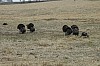 DSC_0103.jpg