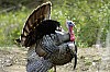 DSC_0103.jpgb.jpg