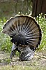 DSC_0105.jpgb.jpg