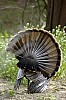 DSC_0106.jpgb.jpg