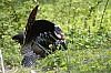 DSC_0111.jpgb.jpg