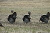 DSC_0112.jpg