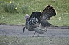 DSC_0114.jpg