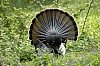 DSC_0114.jpgb.jpg