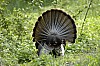DSC_0115.jpgb.jpg