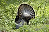 DSC_0116.jpgb.jpg
