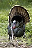 DSC_0117.jpgb.jpg