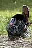 DSC_0118.jpgb.jpg