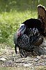 DSC_0119.jpgb.jpg