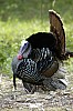 DSC_0120.jpgb.jpg