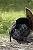 DSC_0121.jpgb.jpg