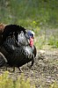 DSC_0122.jpgb.jpg