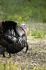 DSC_0123.jpgb.jpg
