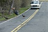 DSC_0124.jpg